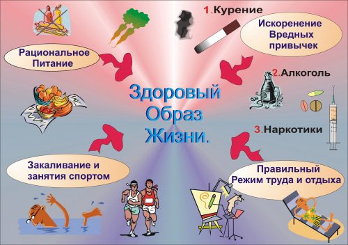 ЗОЖ картинка