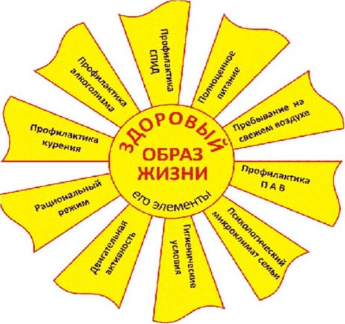 ЗОЖ картинка4