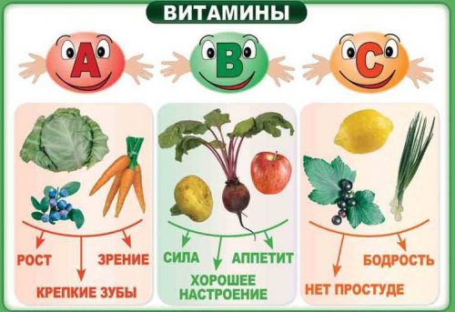 витамины продукты для детей картинки