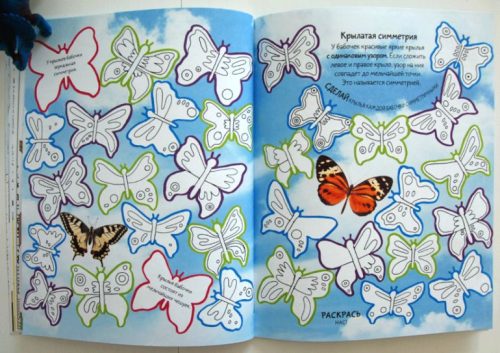 В мире людей и животных дудлпедия3